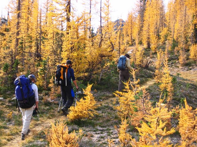 We followed the trail back to our camp, which is just past these trees.